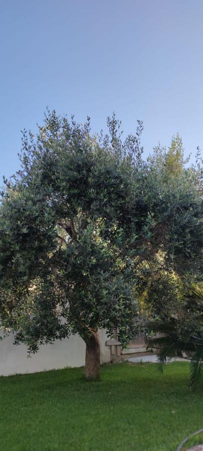 La Bella Dimora Bed & Breakfast Otranto Luaran gambar